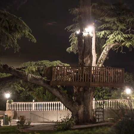 Villa D'Arte Agri Resort Pontassieve Ngoại thất bức ảnh