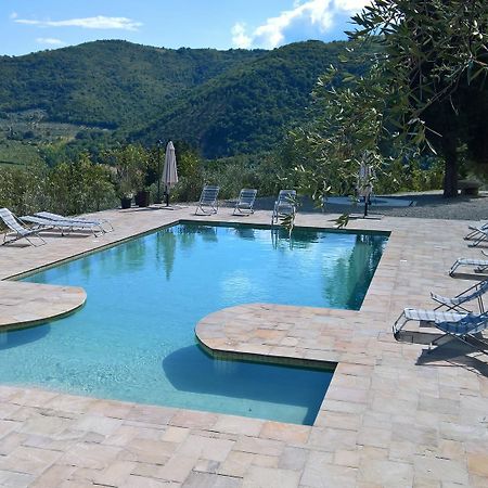 Villa D'Arte Agri Resort Pontassieve Ngoại thất bức ảnh
